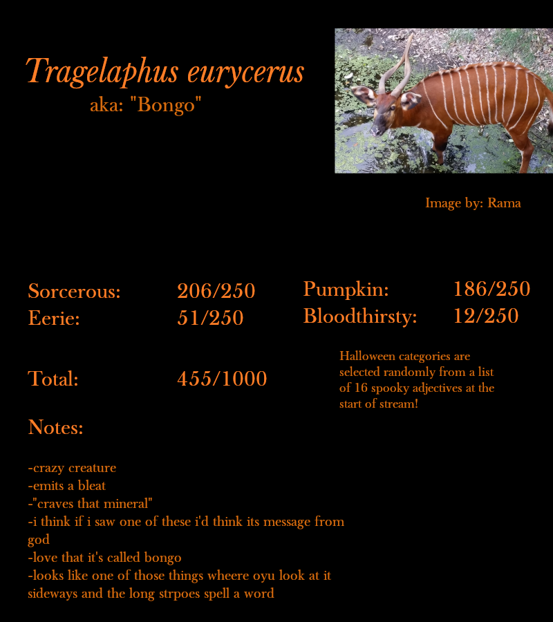 Tragelaphus eurycerus